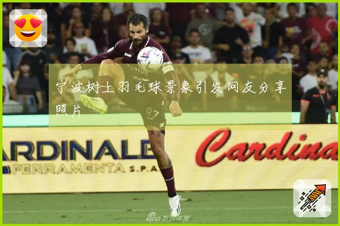 宁波树上羽毛球景象引发网友分享照片