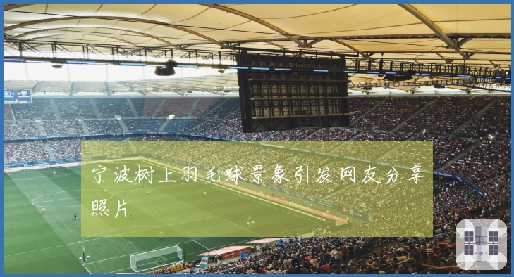 宁波树上羽毛球景象引发网友分享照片